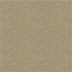 Gavi (Fc) - Luxe - Golden Mist