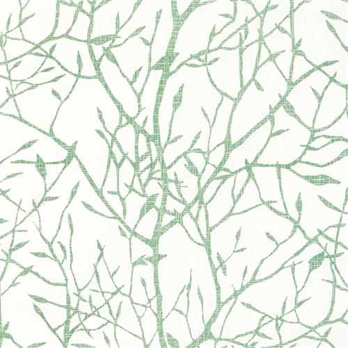 Cypres (Kc) - 3 Grass