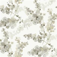 EV3973 - Candice Olson Wallpaper - Blossom Fling