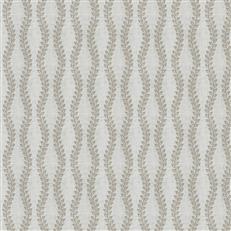 Bergamo (Fc) - Dusty Miller