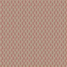 Perugia (Fc) - Dahlia