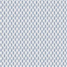 Perugia (Fc) - Lily Of Thenile