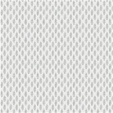 Perugia (Fc) - Silver Bush