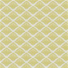 Trieste (Fc) - Daisy