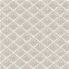 Trieste (Fc) - Dusty Miller