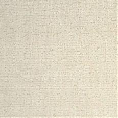 Ames Cr - Crypton Home - Swan