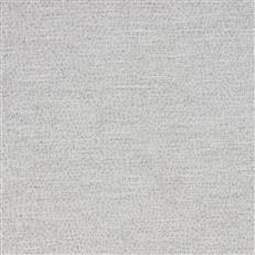 Arabis (Ri) - Zinc