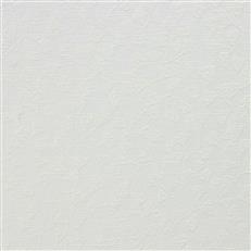 Schiller (Ri) - Ivory