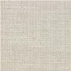 Steller (Ri) - Birch