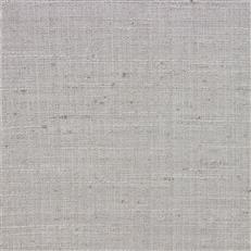 Steller (Ri) - Silver