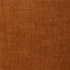 Alpaga (Kc) - Performance - 624 Topaz