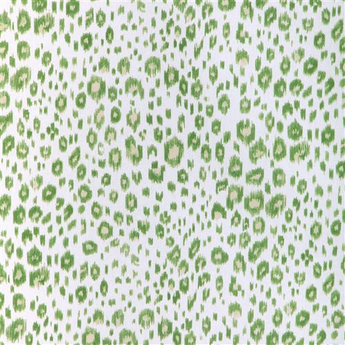 leopard-kc-3-aloe