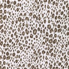 Leopard (Kc) - 6116 Java