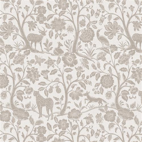 gardenata-sand-dollar