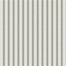 Hidcote Stripe - Birch