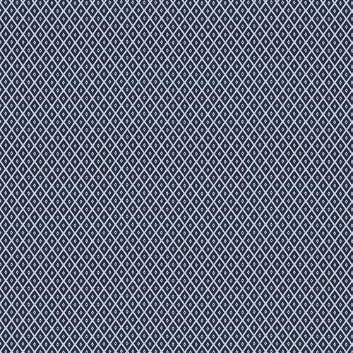 itzli-navy