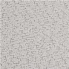 Eddie Pfr (Ri) - Performance - Cotton