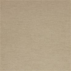 Nikoli Pfr (Ri) - Performance - Sand