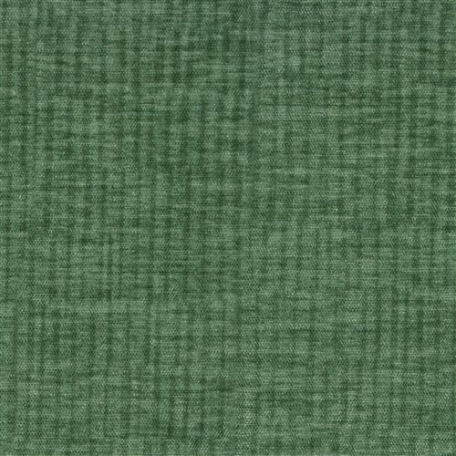 vitae-pfr-ri-performance-evergreen