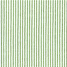 Madison Stripe - Kiwi