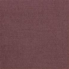 Ella Pfr (Ri) - Performance - Cerise