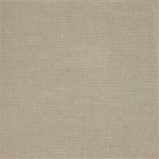 Ella Pfr (Ri) - Performance - Chamois