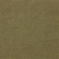 Ella Pfr (Ri) - Performance - Golden