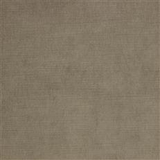 Ella Pfr (Ri) - Performance - Pecan