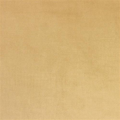 viviane-pfr-ri-performance-camel