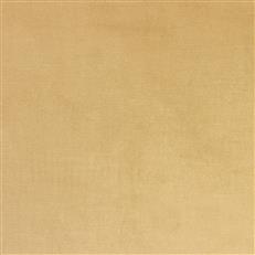 Viviane Pfr (Ri) - Performance - Camel