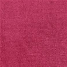 Viviane Pfr (Ri) - Performance - Cassis