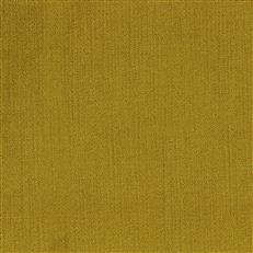 Viviane Pfr (Ri) - Performance - Citronella