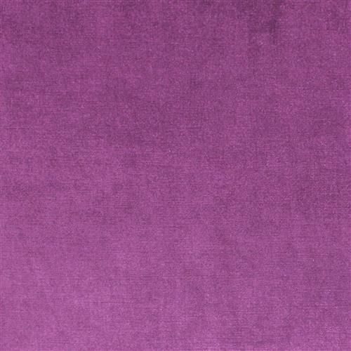 viviane-pfr-ri-performance-violet