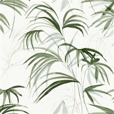 NT6121 -Candice Olson Natural Discovery Wallpaper Inky