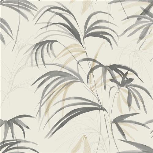 NT6125 -Candice Olson Natural Discovery Wallpaper Inky