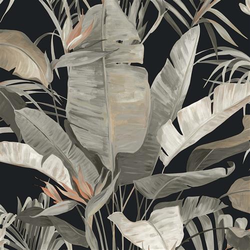 NT6135 -Candice Olson Natural Discovery Wallpaper Tropical