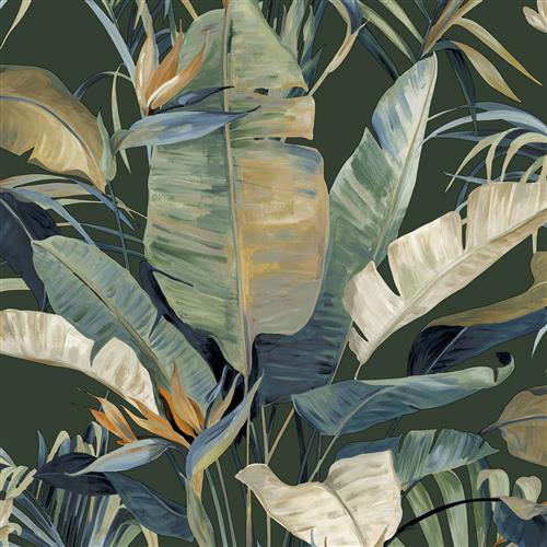 NT6136 -Candice Olson Natural Discovery Wallpaper Tropical