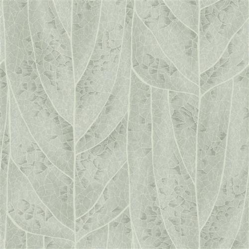 NT6141 -Candice Olson Natural Discovery Wallpaper Dicot