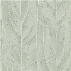 NT6141 -Candice Olson Natural Discovery Wallpaper Dicot
