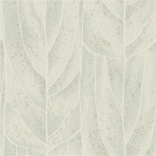 NT6142 -Candice Olson Natural Discovery Wallpaper Dicot
