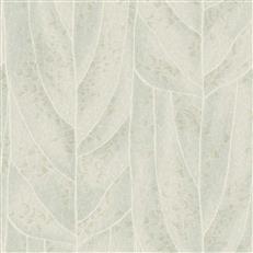 NT6142 -Candice Olson Natural Discovery Wallpaper Dicot