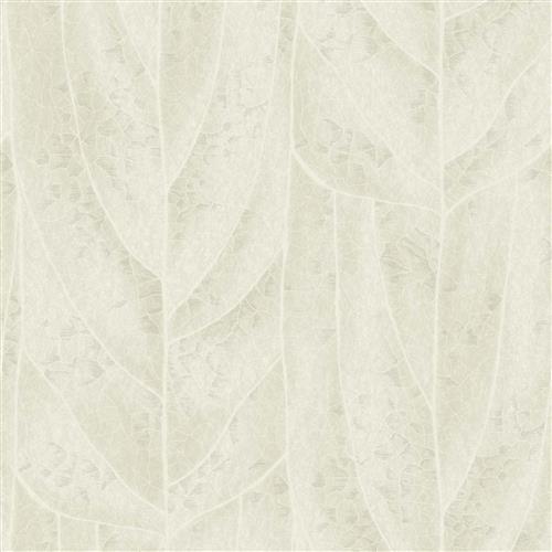 NT6143 -Candice Olson Natural Discovery Wallpaper Dicot