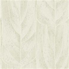 NT6143 -Candice Olson Natural Discovery Wallpaper Dicot