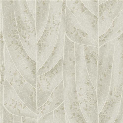 NT6144 -Candice Olson Natural Discovery Wallpaper Dicot