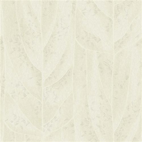 NT6145 -Candice Olson Natural Discovery Wallpaper Dicot