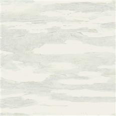 NT6177 -Candice Olson Natural Discovery Wallpaper Artistic