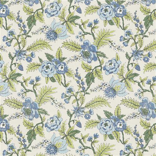 taylur-fc-blue-grass