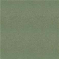 Studio Velvet (Fc) - Evergreen