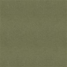 Studio Velvet (Fc) - Olive