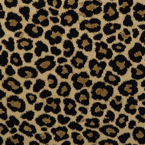 zavir-kc-816-ebony